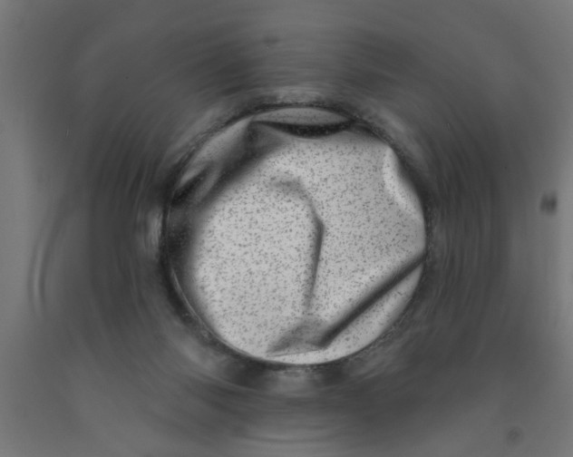 X0000090870118200708241928