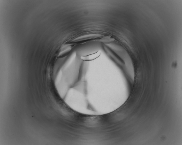X0000090870122200708241928
