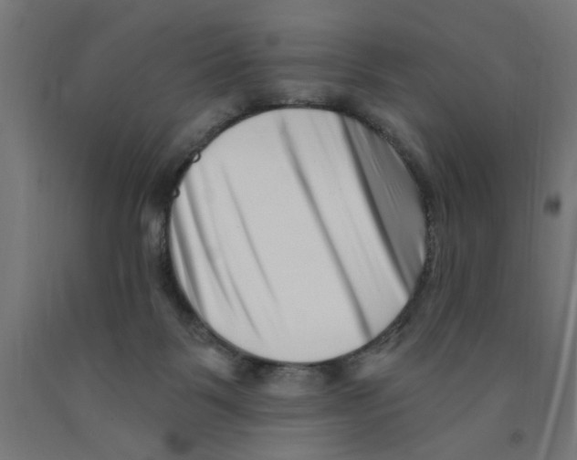 X0000090870123200708241928