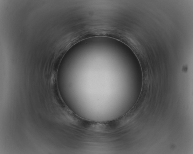 X0000090870125200708241928