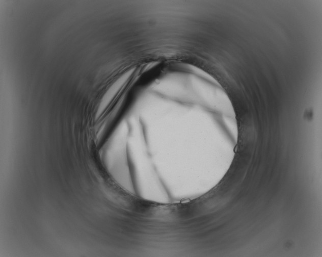 X0000090870126200708241928