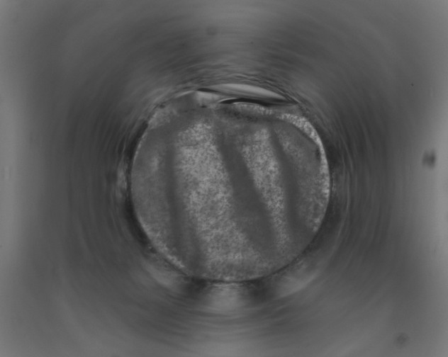 X0000090870127200708241928