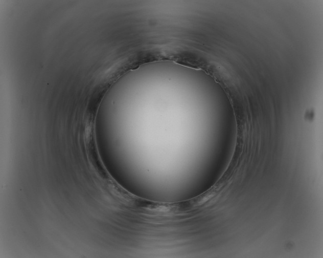 X0000090870129200708241928