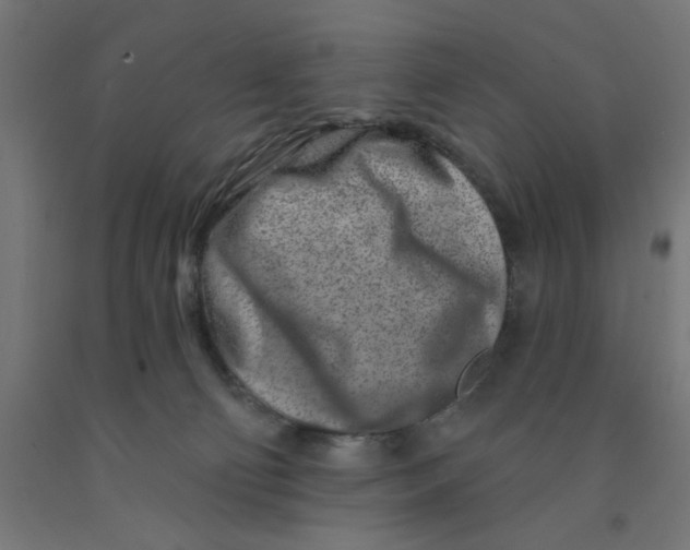 X0000090870130200708241928