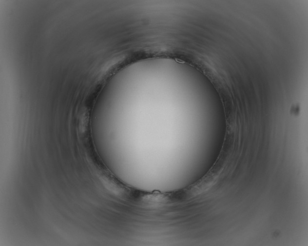 X0000090870133200708241927
