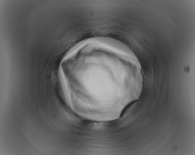 X0000090870134200708241927