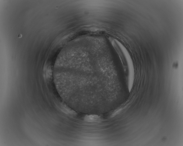 X0000090870137200708241927