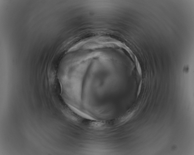 X0000090870139200708241927