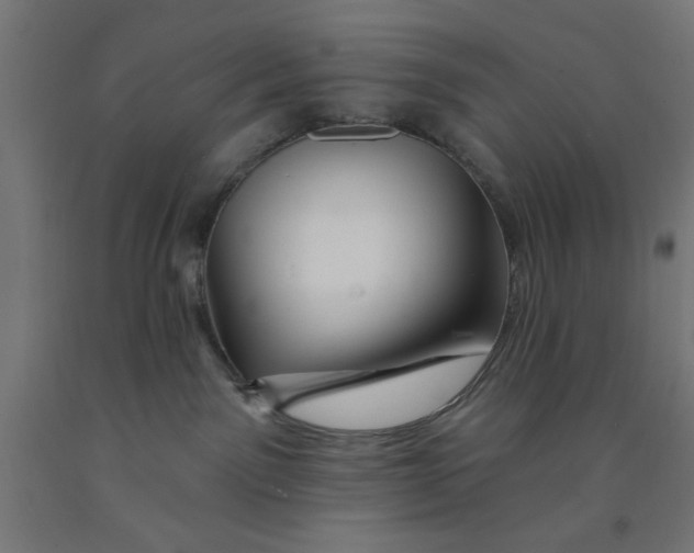 X0000090870141200708241927