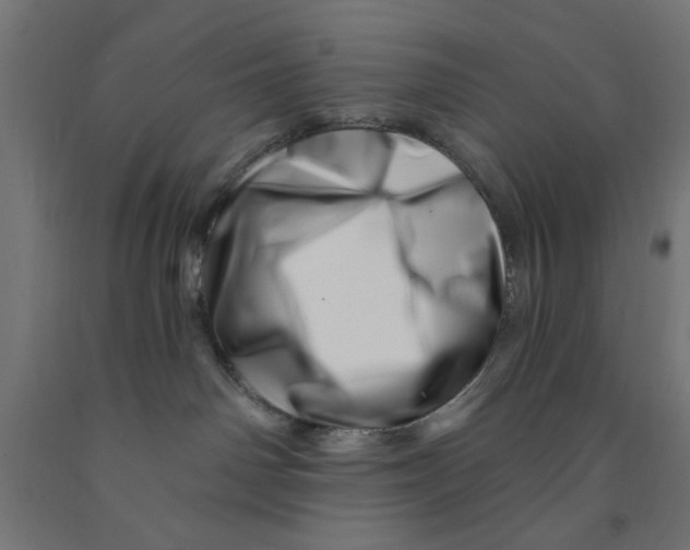 X0000090870142200708241927