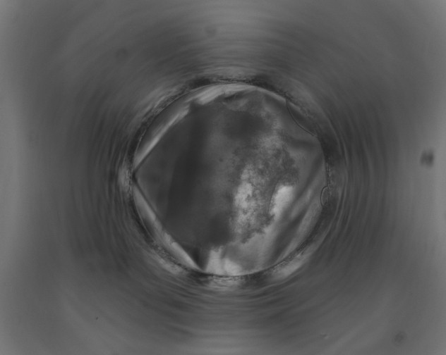 X0000090870143200708241927