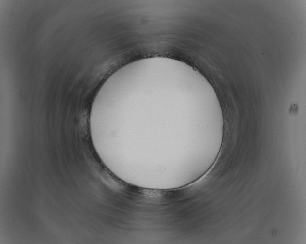 X0000090870144200708241927