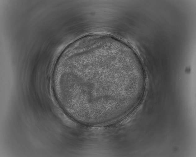 X0000090870145200708241927