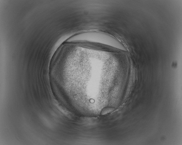 X0000090870147200708241927