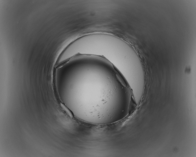 X0000090870148200708241927