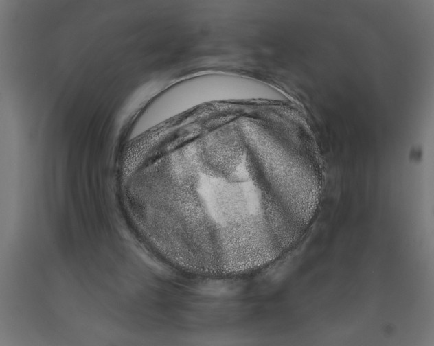 X0000090870149200708241927