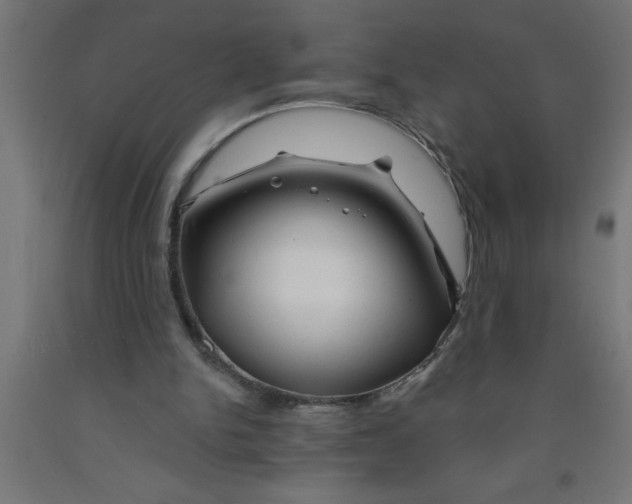 X0000090870150200708241927