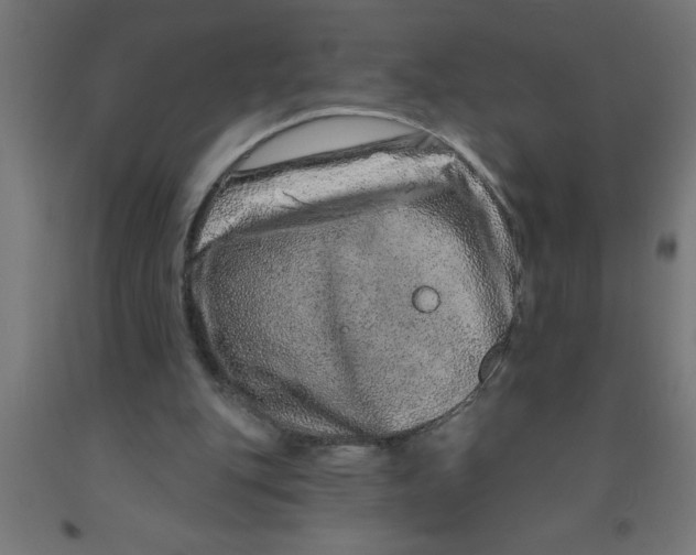 X0000090870151200708241927