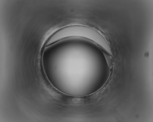X0000090870152200708241927