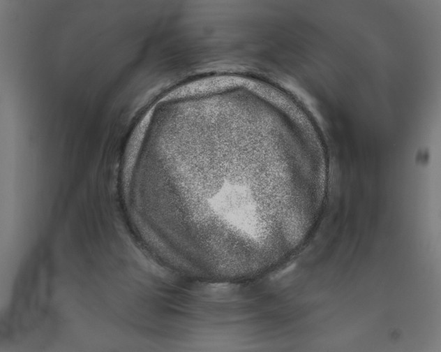 X0000090870153200708241927
