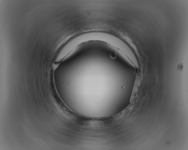 X0000090870154200708241927