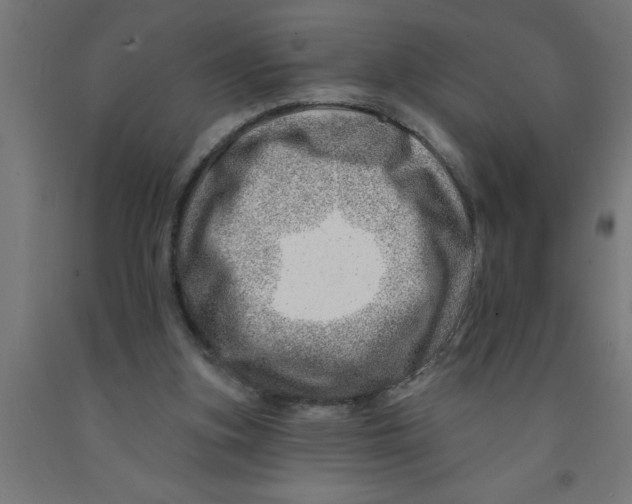 X0000090870155200708241927