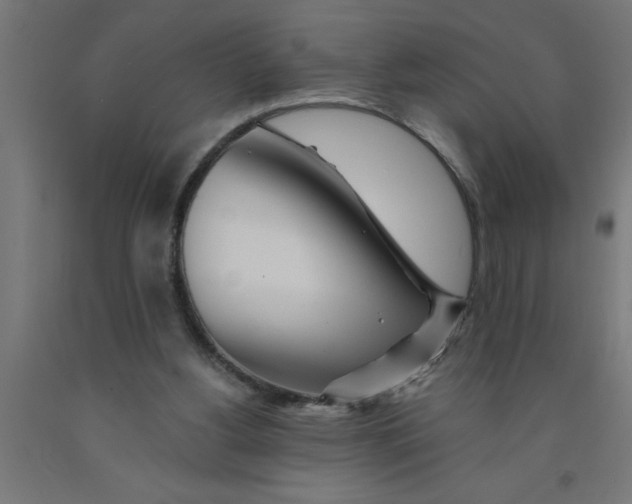 X0000090870156200708241927