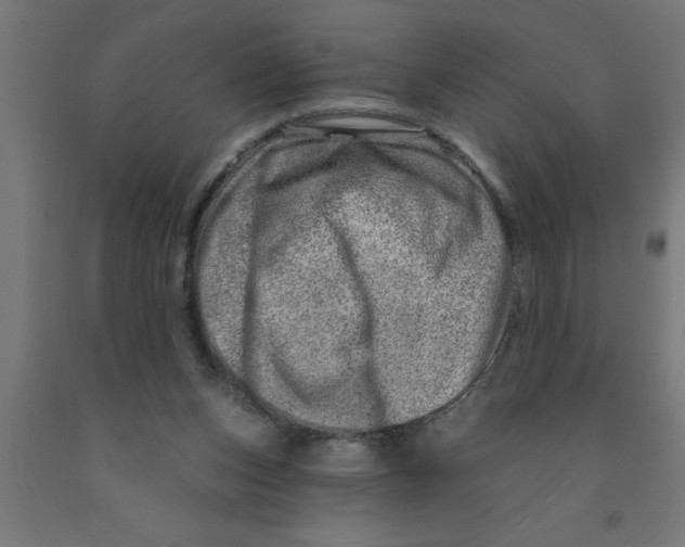 X0000090870159200708241927