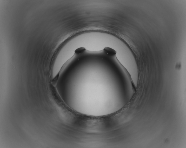 X0000090870160200708241927