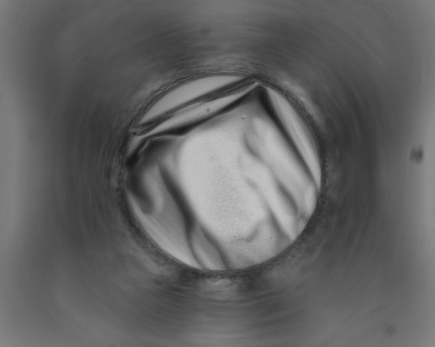X0000090870161200708241927