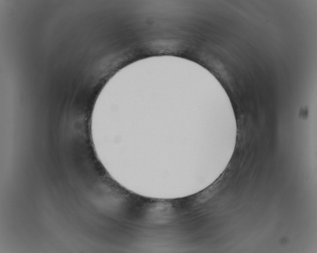 X0000090870162200708241927