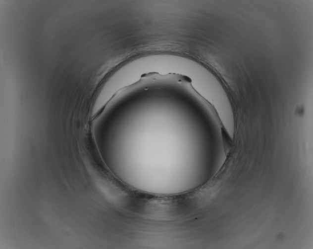 X0000090870164200708241927