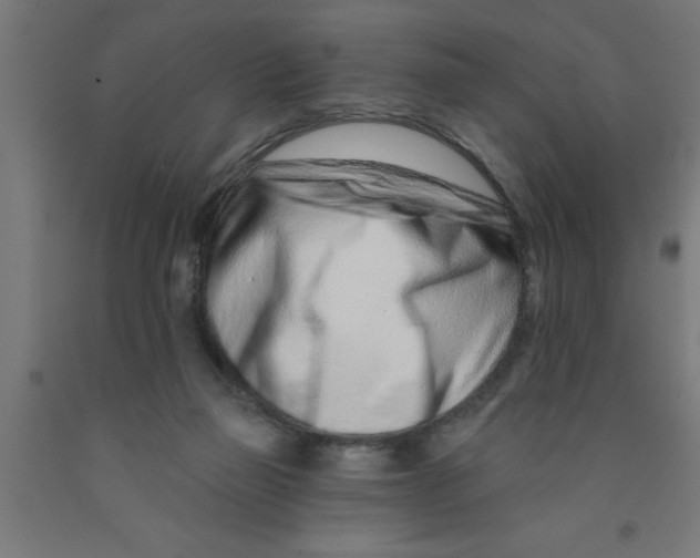 X0000090870165200708241927