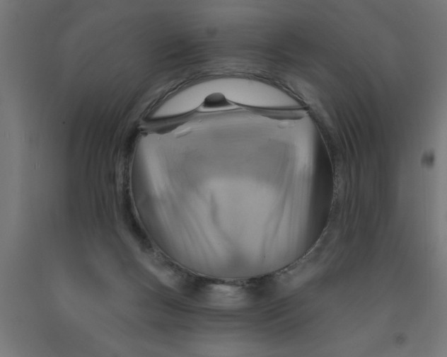 X0000090870167200708241927