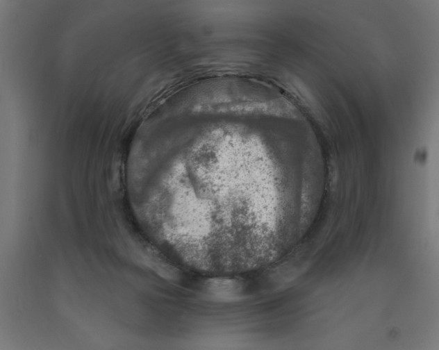 X0000090870169200708241927