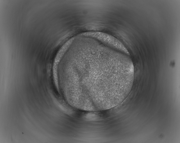 X0000090870171200708241927