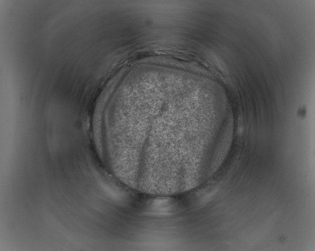 X0000090870173200708241927