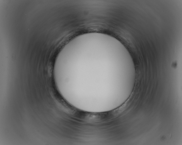 X0000090870174200708241927