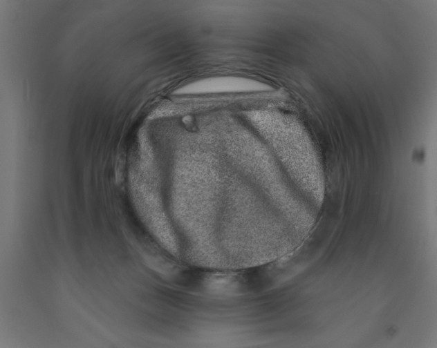 X0000090870175200708241927