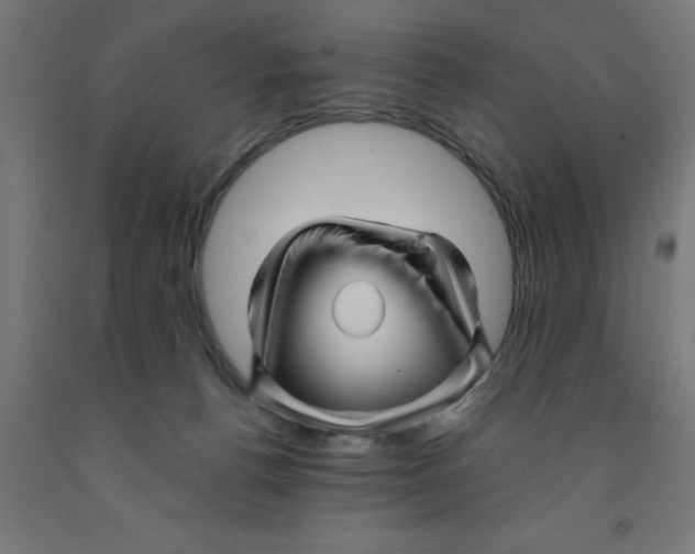 X0000090870176200708241927