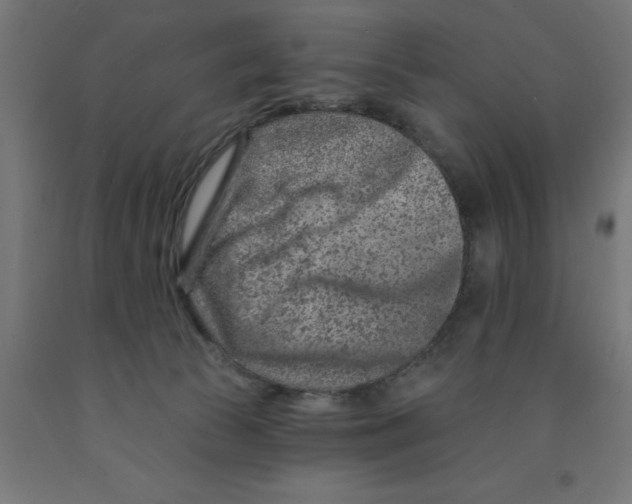 X0000090870177200708241927