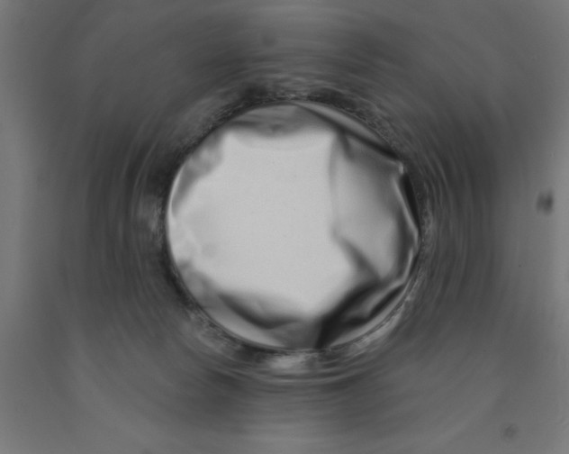 X0000090870178200708241927