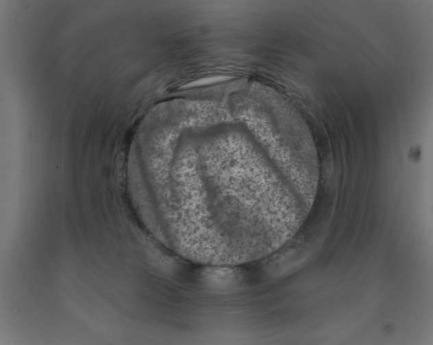 X0000090870181200708241927