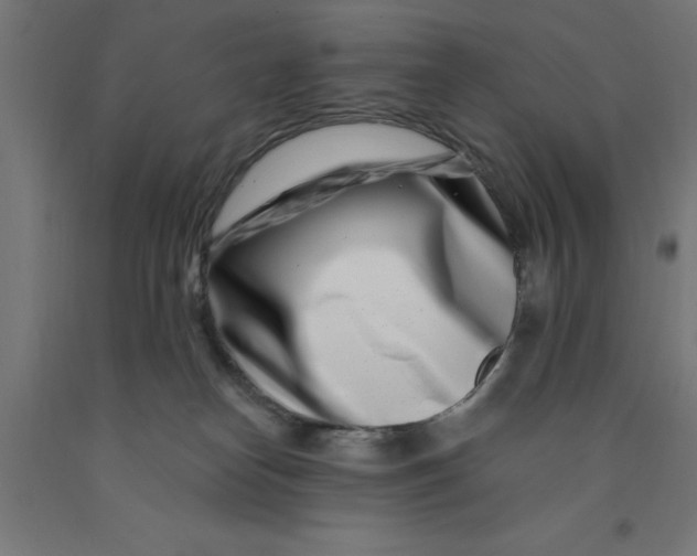 X0000090870182200708241927