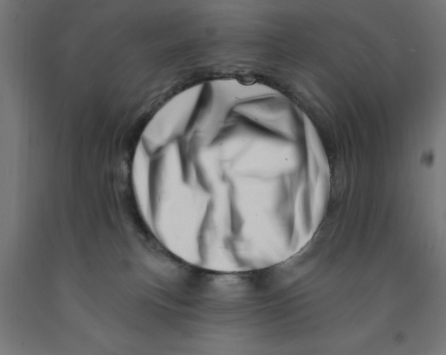 X0000090870183200708241927
