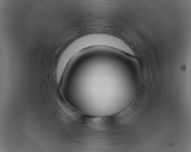 X0000090870184200708241927