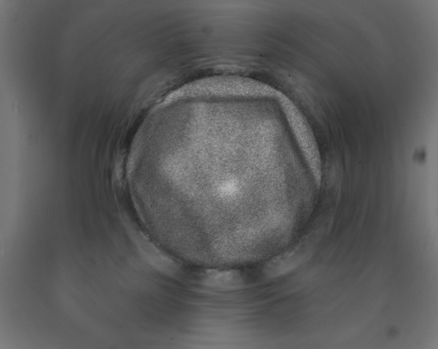X0000090870185200708241927