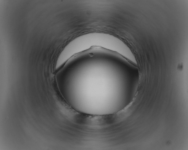 X0000090870186200708241927