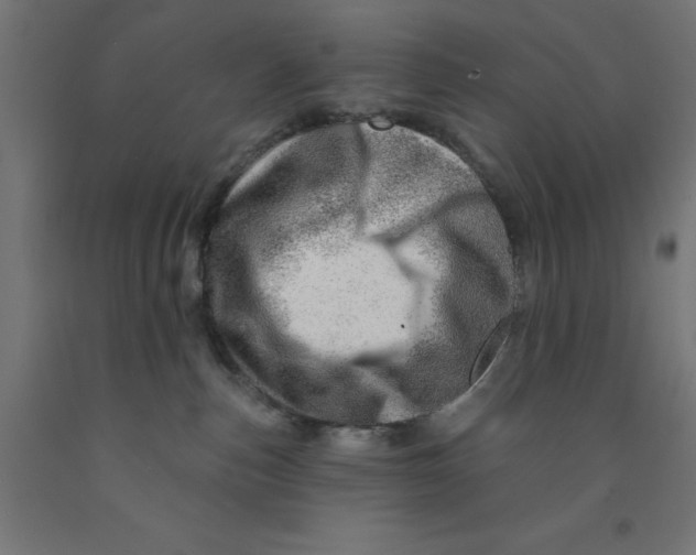 X0000090870187200708241927