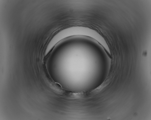 X0000090870188200708241927